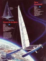 AmCup Cat, Stars and Stripes.jpg