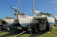 toroa before sale.jpg