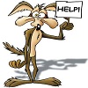 wilecoyote.jpg