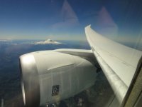 787wing in flight.jpg