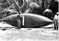 Screen shot 2011-11-13 at 12.29.14 PM.png