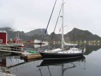 wndering albatross.jpg