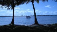 IMG_0854.jpg