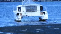 IMG_0863.jpg