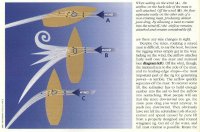 Figure from PBB PA article.jpg
