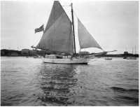 Screen shot 2012-10-29 at 8.30.35 AM.png