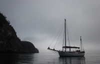 Screen shot 2012-01-30 at 4.07.59 PM.png