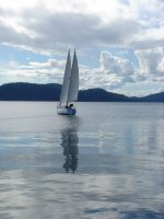 Shearwater2012.jpg