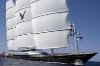 Maltese Falcon.jpg