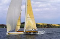 Blue Arrow-scuttlebutt.jpg