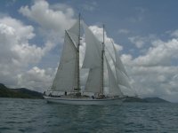 stb  sail.jpg