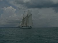 port sail.jpg