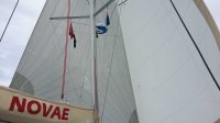 Twin headsailing-1.jpg