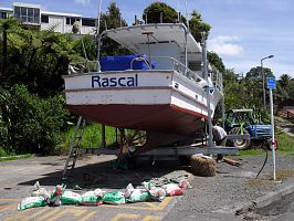 Rascal_Raglan