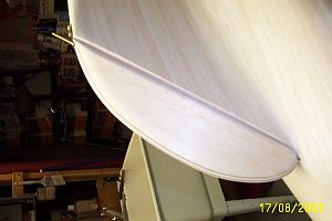 IOD 48" rudder detainl