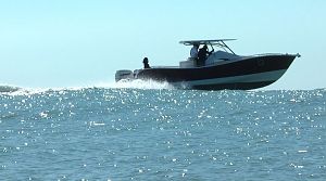 Requin Gris 28 LAUNCHED