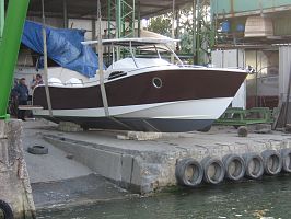 Requin Gris 28 LAUNCHED