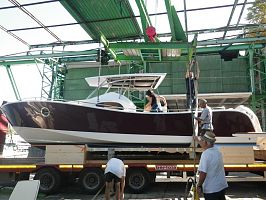 Requin Gris 28 LAUNCHED