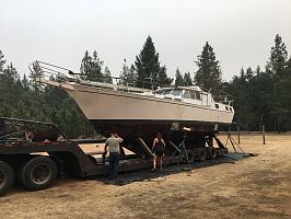 Salmoneyes Project