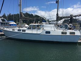 Salmoneyes Project