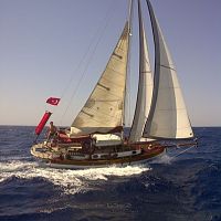 TYD#936. Kayitsis 111