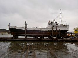 Steel 81'