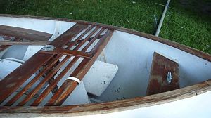 Thistle Restoration #411