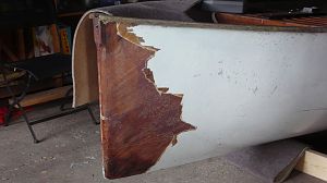 Thistle Restoration #411