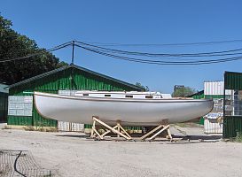 out_in_the_yard_001