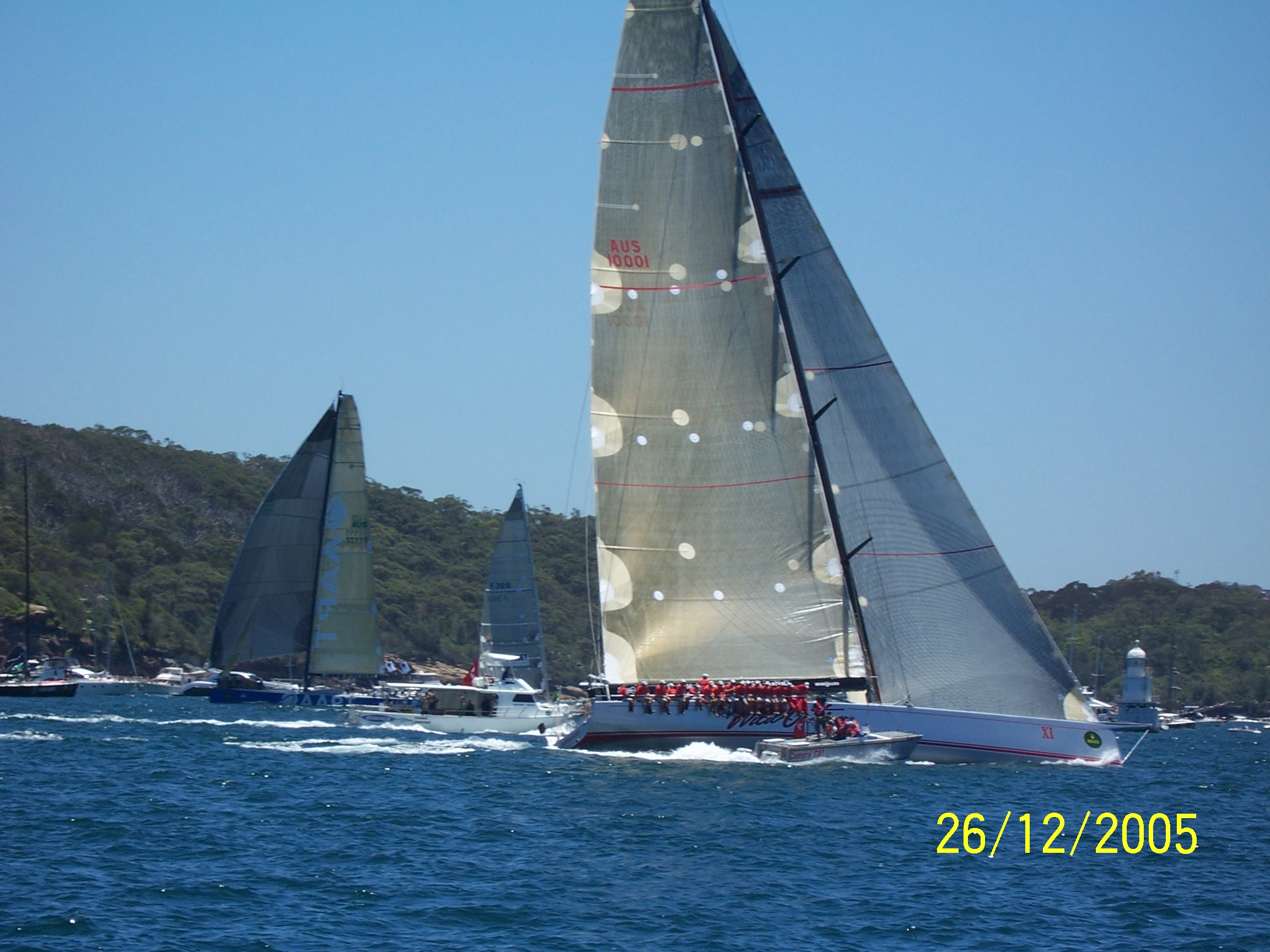 Wild Oats XI