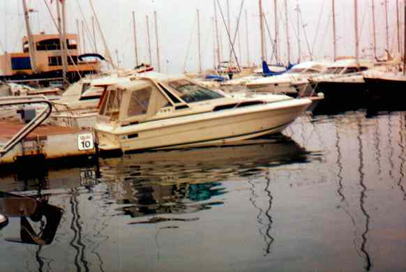 sterndrive tunnels in buoyant swimplatform? Boat Design Net